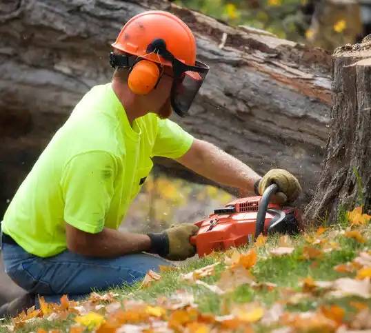 tree services Chaumont